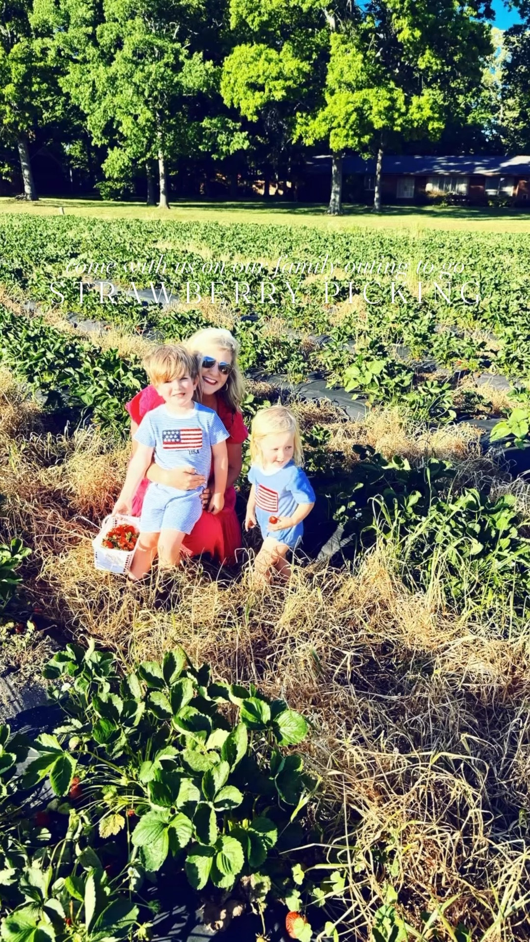 Oh we just had the the berry 😉 best time going strawberry 🍓 pickin’ with the berry 🥰 cutest ones in the patch!! 👶🏼🌱❤️ And always the best coming home 🏡 with a basket 🧺 full of berries ❣️picked fresh from the farm 🚜 and straight to the heart!! 💞 #berrysweetmoments #strawberryseason #strawberrypicking #iloveyouberrymuch #aberrygoodtime 

#LTKKids #LTKmomlife #LTKBaby