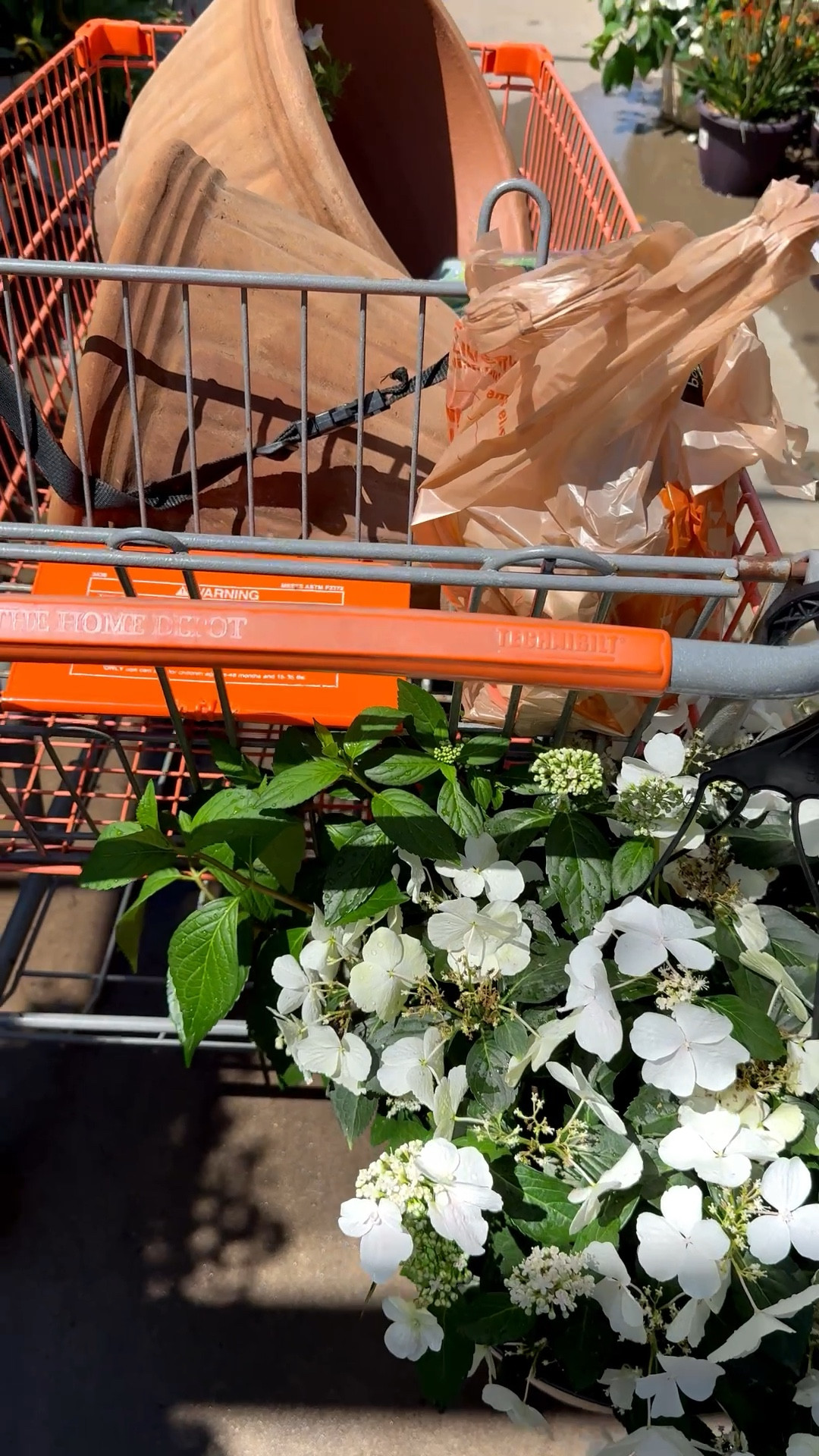 Beautiful and affordable terra cotta planters!! 

#LTKHome #LTKSeasonal