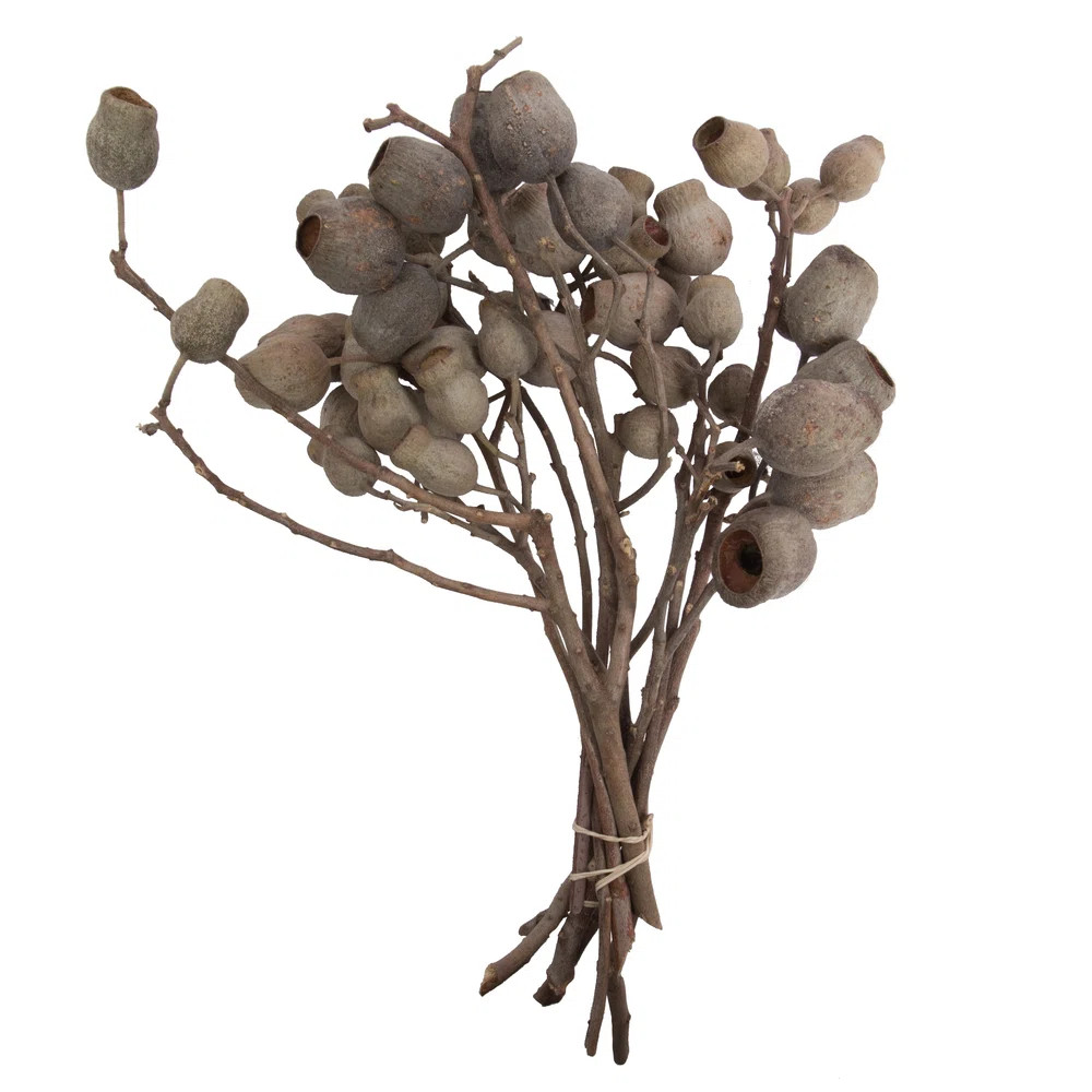 Natural Botanicals 11" x 4" Bellgum Branch, 5-7 Bells, 10 stems per unit (Set of 10) | Wayfair North America