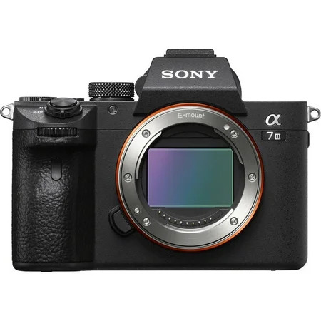 Sony a7 III Full-Frame Mirrorless Digital Camera - Body Only | Walmart (US)