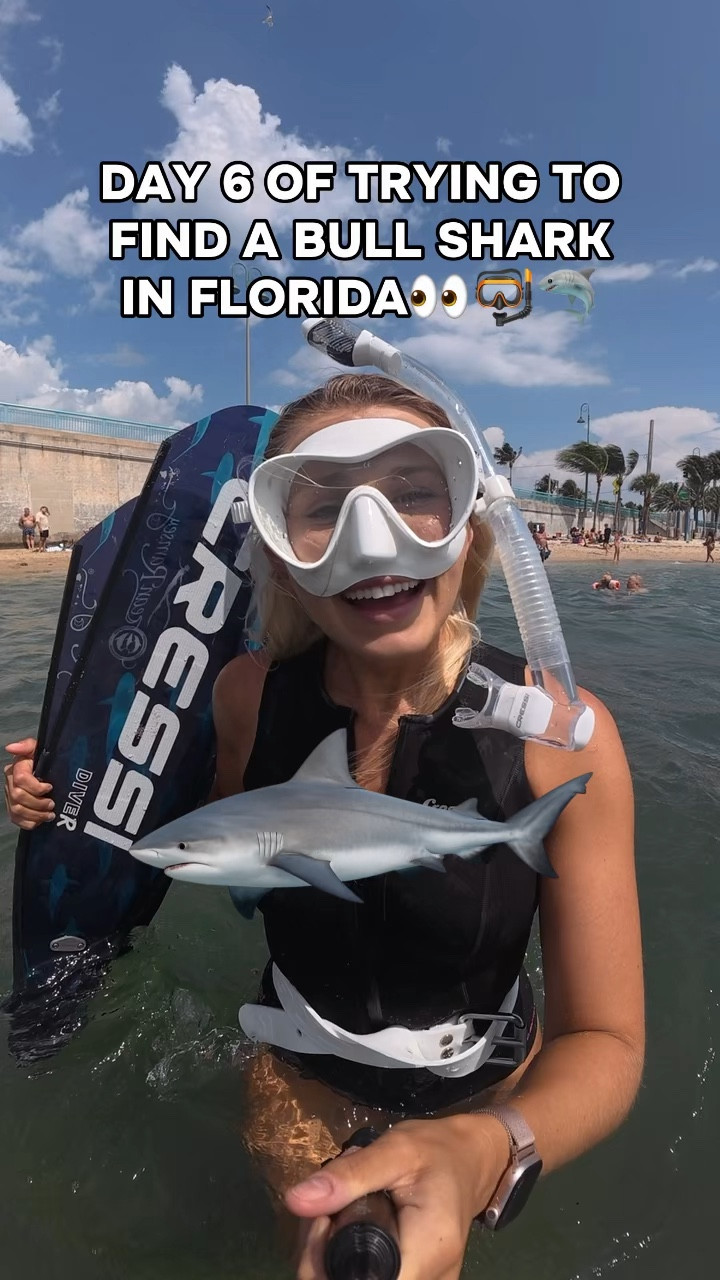 When shark came up right underneath me I did get a little jump scare😅 

Just a reminder that these are wild animals and apex predators. I’ve spent years learning how to safely interact in these environments, and I never encourage anyone to try to find sharks or recreate what I’m doing.

Every encounter is different, and wildlife should always be respected and given space. My goal is to help people appreciate sharks, not encourage risky behavior.

Please stay safe and always respect the ocean and its wildlife. 🦈

#sharks #florida #freediving #ocean #marinelife 

#LTKSwim #LTKTravel #LTKActive