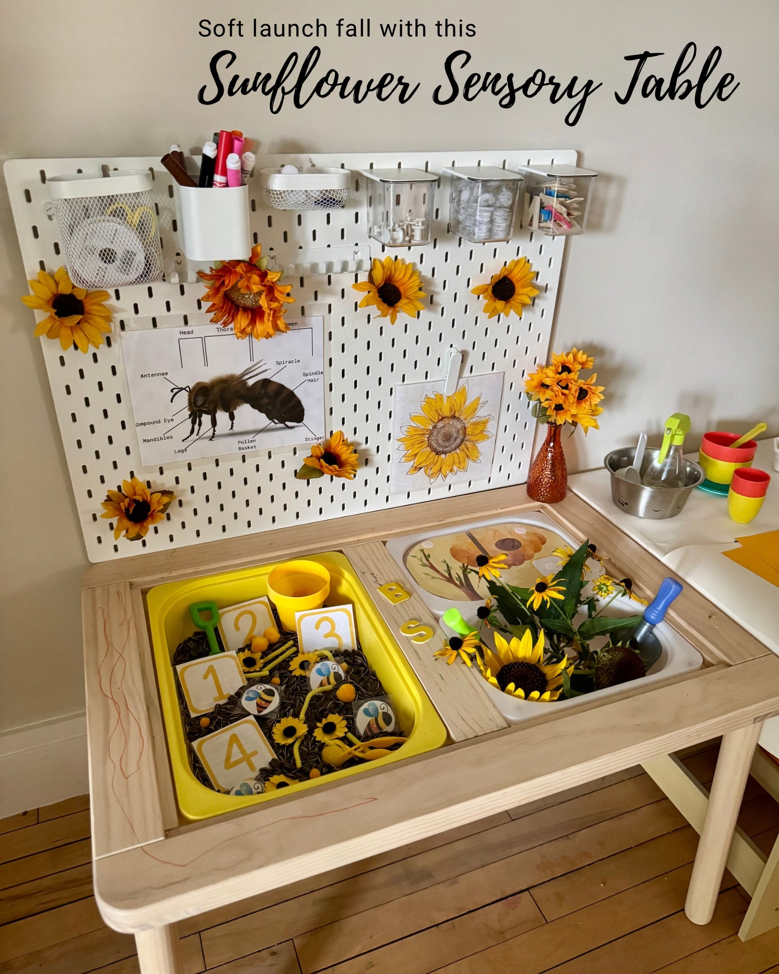Soft launch into fall for your toddler with this sunflower sensory table! Transform your little one’s playroom into a hands-on learning environment with this Montessori-inspired sensory play and art station! This setup is the perfect blend of toddler sensory play, preschool learning activities, and creative arts and crafts—all in one cozy corner. The wooden sensory table comes with removable bins, making it easy to swap out themes for endless discovery. Here, it’s styled with a sunflower and bee theme, featuring real-life learning cards, faux sunflowers, and loose parts for kids to scoop, sort, and explore. Sensory play helps children develop fine motor skills, hand-eye coordination, and independent play, while also keeping them engaged for hours.

Next to the sensory bin is a toddler-sized activity table covered in paper for stress-free painting, drawing, and crafting. Paired with bright construction paper, child-safe scissors, and art supplies, it’s a must-have for encouraging imaginative play and early STEM learning. The pegboard organizer keeps everything within reach—markers, cotton balls, and craft tools—while also looking Pinterest-perfect in your playroom. Parents love that this space-saving setup works beautifully in small apartments or playrooms, giving kids their own dedicated area to create and learn.

Whether you’re looking for a Montessori playroom setup, sensory bin ideas for toddlers, or the best kids’ craft station furniture, this setup checks all the boxes. It’s not just play—it’s early childhood education disguised as fun! Shop the look below to recreate this sunflower-themed toddler sensory play corner and watch your little one’s creativity bloom.

#LTKHome #LTKSeasonal #LTKKids
