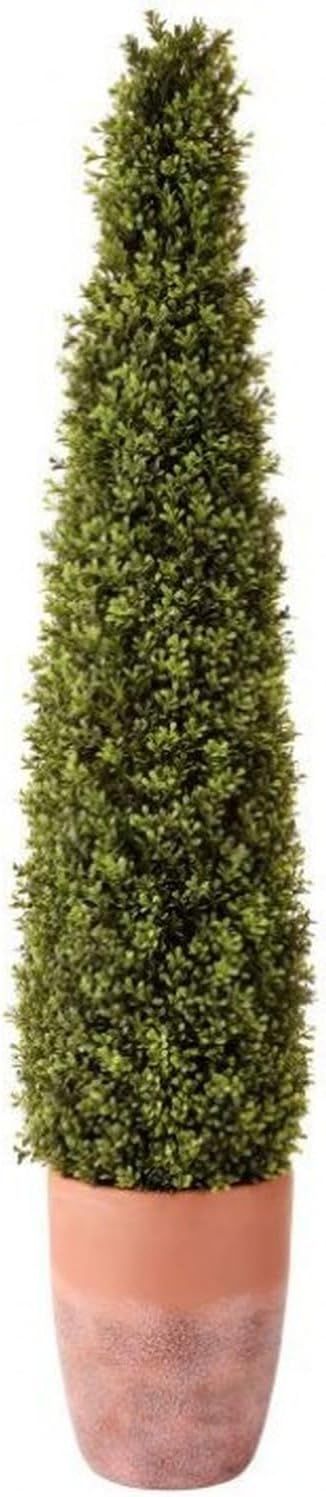 Regency International Plastic Spring Boxwood UV Treat Cone Terracotta Pot 60" | Amazon (US)