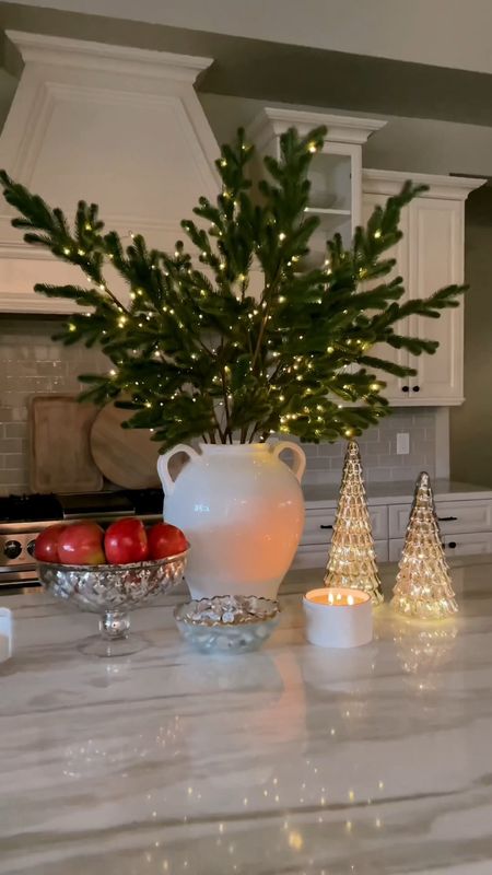 DIY twinkle light Christmas stems 🎄 I love pottery barn, but for 1 stem, they are charging $50 and I just can’t do that! So I got 3 bundles of these faux Christmas stems and adding my own twinkle lights to them! What do you think? ✨

Tags:  Christmas decor 

#LTKhome #LTKHolidaySale #LTKHoliday