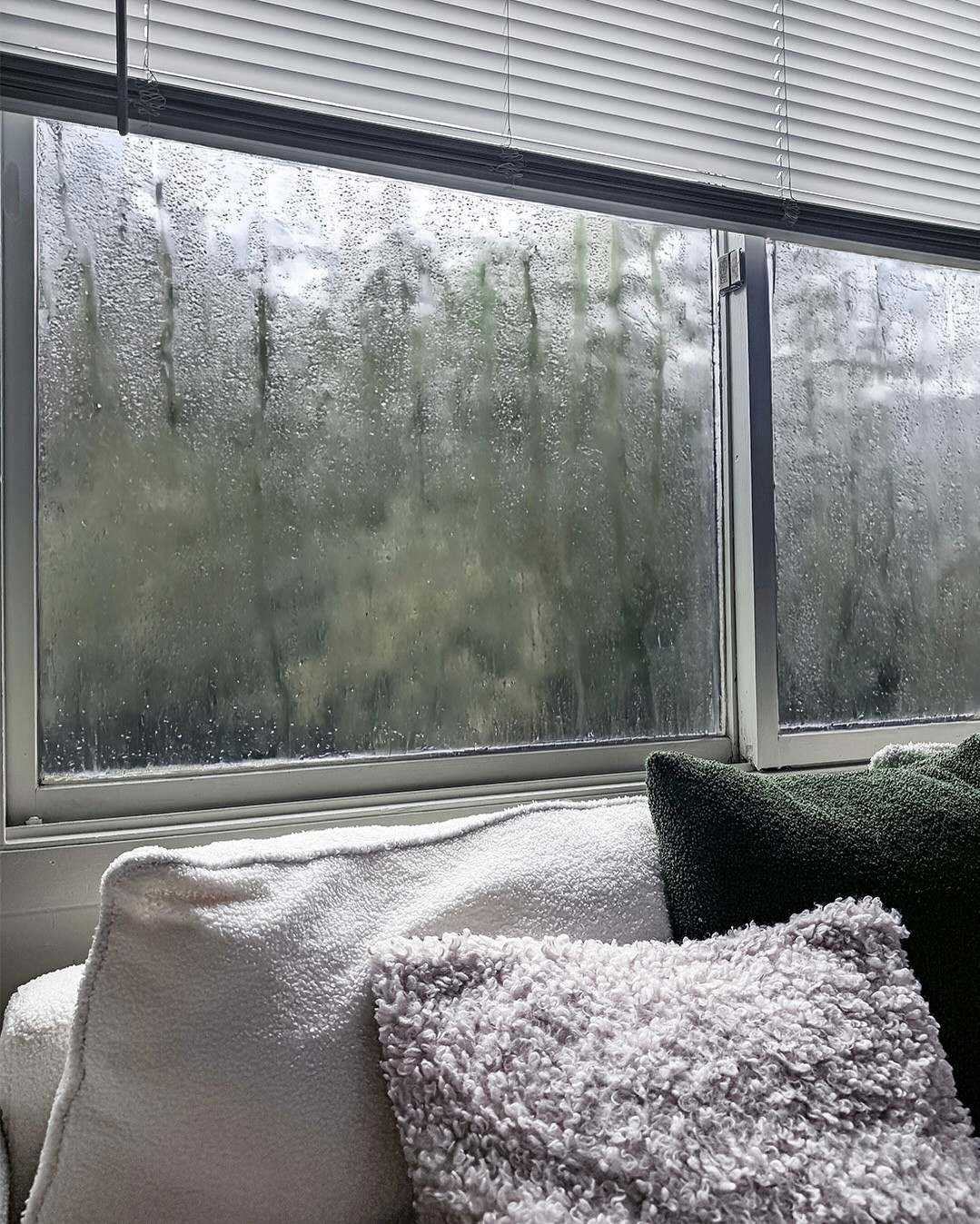rainy days will always have my heart 🌧️🩵
everything slows down, and the little things—like watching Jasper trace raindrops—suddenly feel like everything.
#rainydays #rainydayvibes #pluviophile #rainywindow #pinterestaesthetic #slowliving #romanticizeyourlife #cozyhome