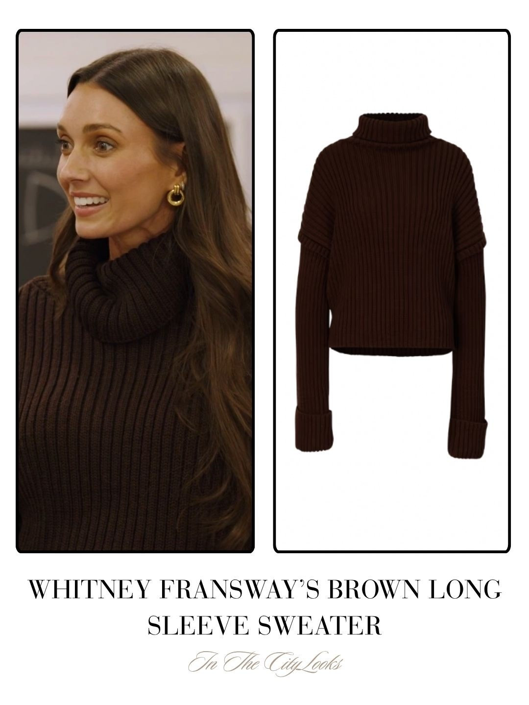 Whitney Fransway’s Brown Long Sleeve Sweater