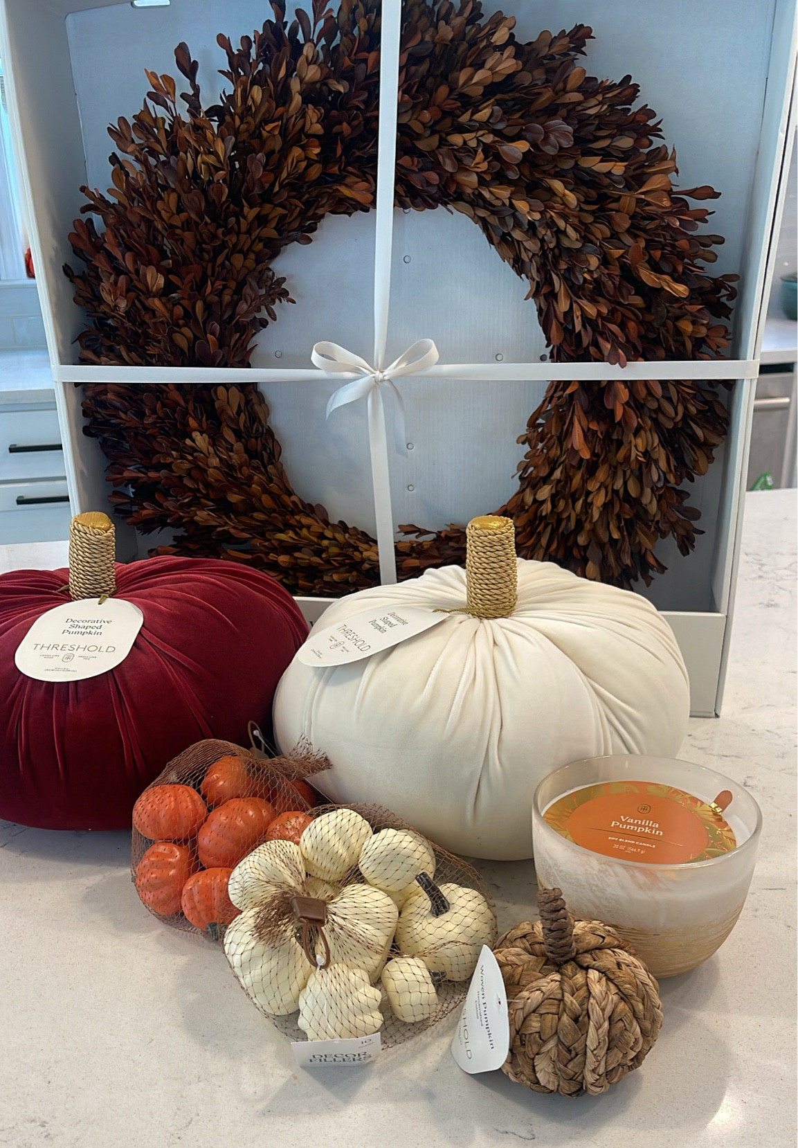 Fall #Target home finds

#LTKSeasonal #LTKFindsUnder50 #LTKHome