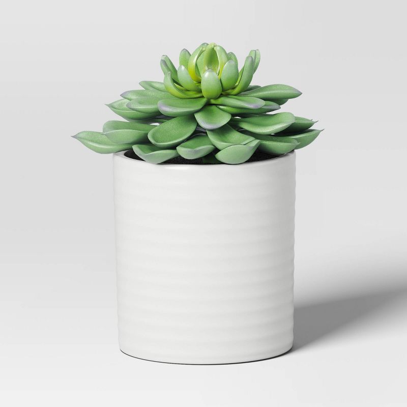 Small Succulent Artificial Plant Arrangement - Threshold™ | Target