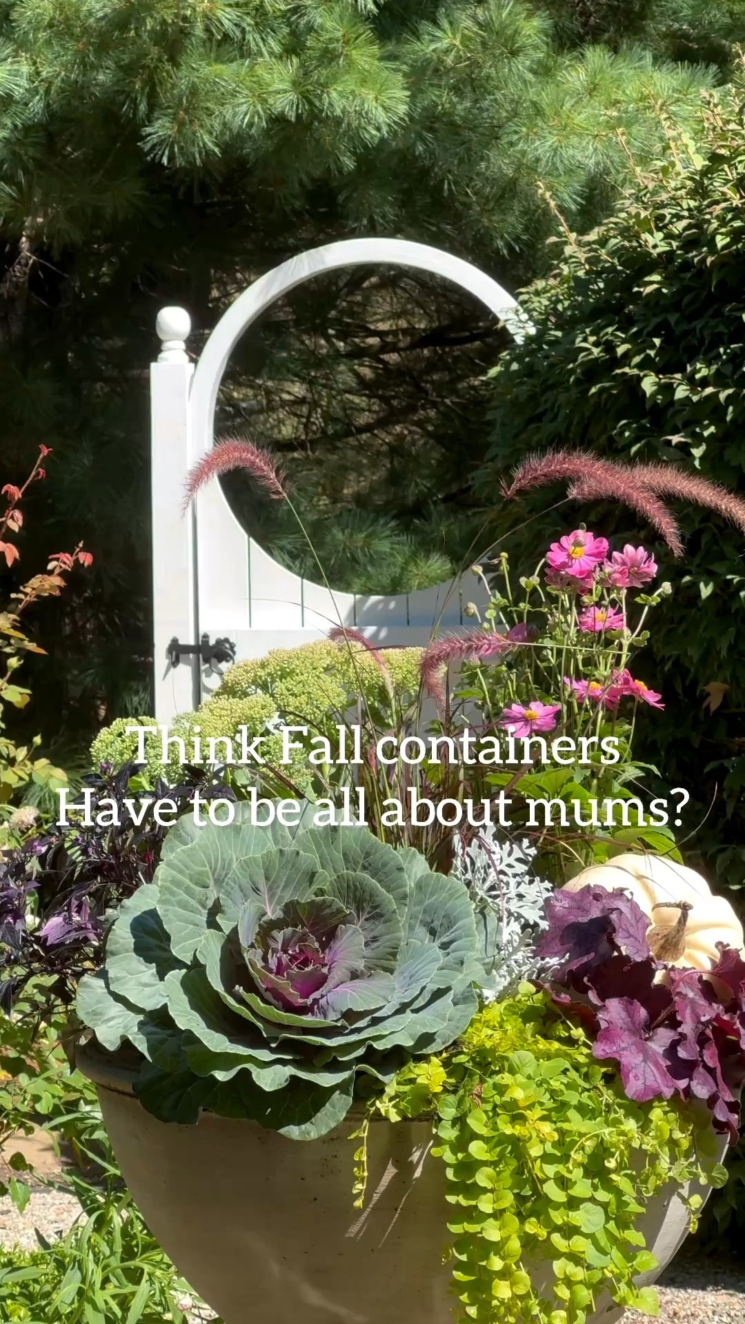 Tired summer planters? Don’t toss them...refresh them for fall! 🍂 I’m skipping the mums and layering bold foliage, ornamental grasses, rich textures and seasonal color for containers that last well into autumn.

#LTKSeasonal #LTKHome