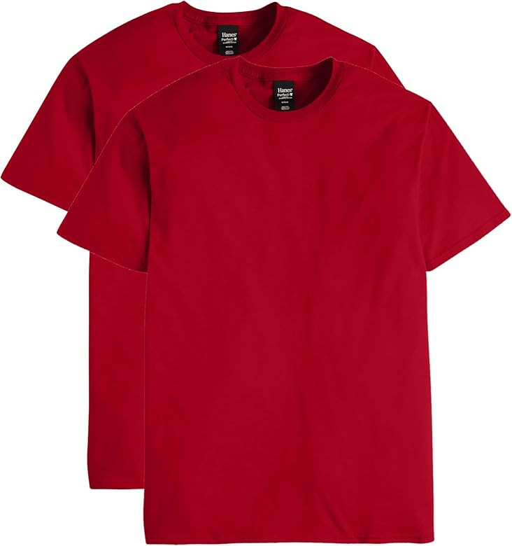 Hanes mens Nano Premium Cotton T-shirt (Pack of 2) | Amazon (US)