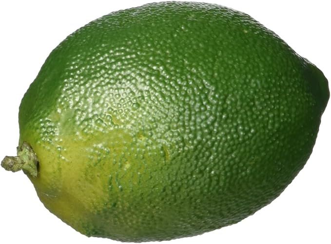 Nearly Natural 2192-S12 Faux Limes, Set of 12 | Amazon (US)