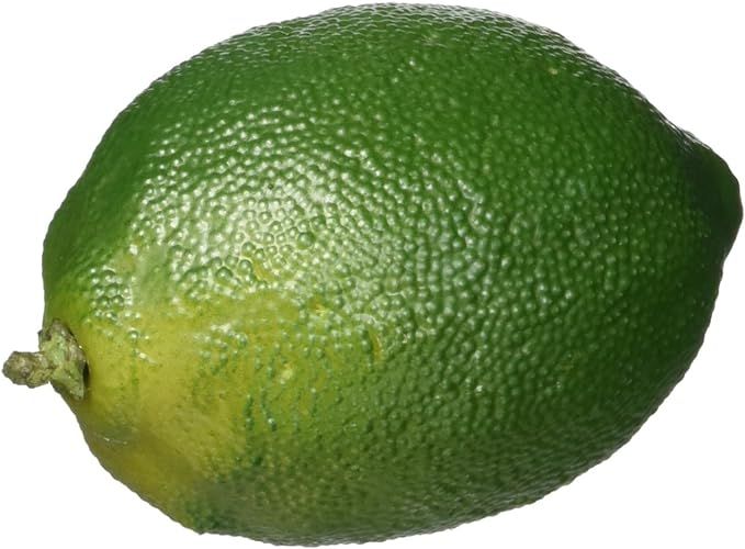Nearly Natural 2192-S12 Faux Limes, Set of 12 | Amazon (US)