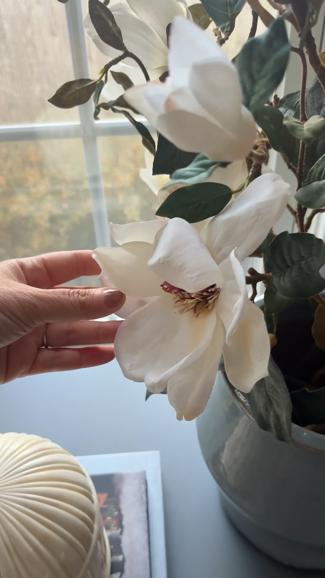 These magnolia branches  are on sale and look so realistic! Use code MAGNOLIA 

#LTKFindsUnder50 #LTKHome #LTKSaleAlert