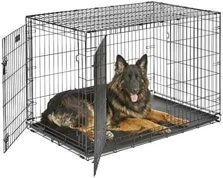 MidWest Homes for Pets 48-Inch Two-Door iCrate Folding Dog Crate with Divider Panel, Leak-Proof T... | Amazon (US)
