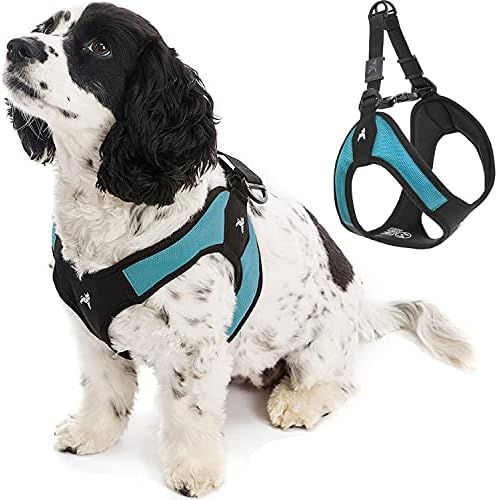 Gooby Escape Free Easy Fit Harness - No Pull Step-in Patented Small Dog Harness with Quick Release B | Amazon (US)