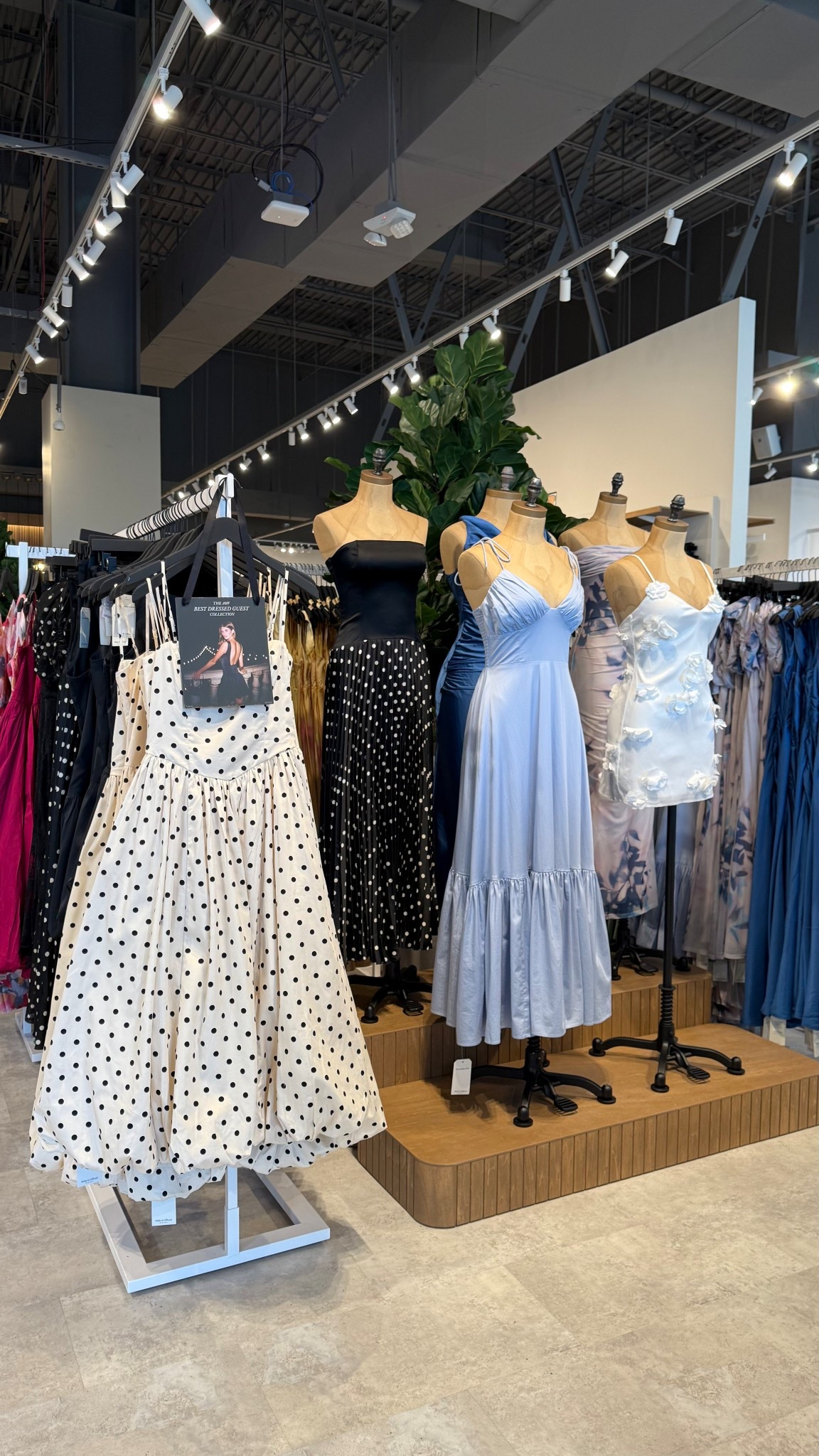 Best dressed wedding guest collection from Abercrombie 


#LTKWedding #LTKSpringSale #LTKFindsUnder100