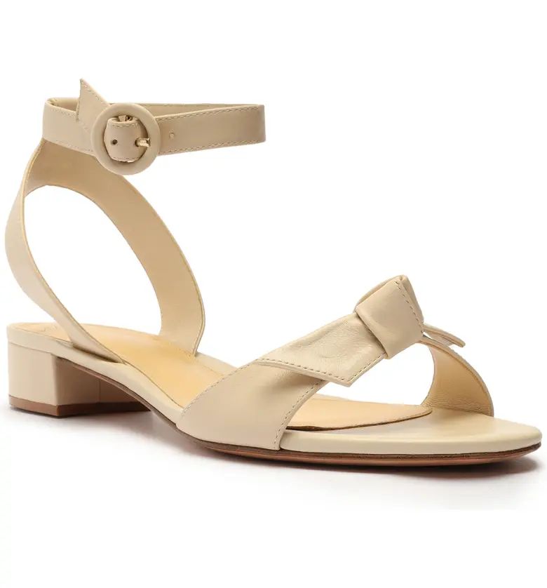 Alexandre Birman Clarita Ankle Strap Sandal | Nordstrom | Nordstrom