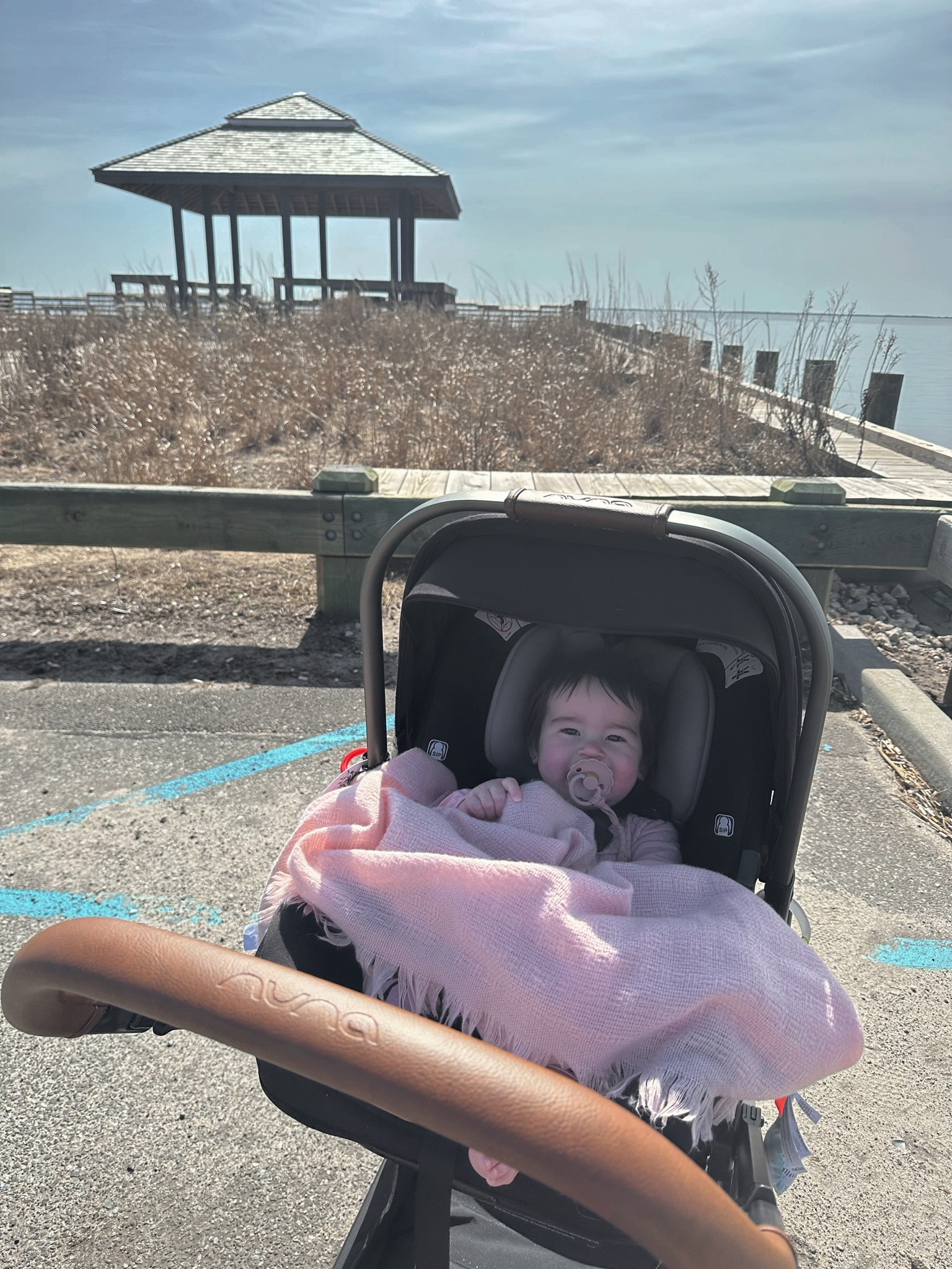 nuna pipa travel system & frigg pacifiers are the best 

#LTKbump #LTKbaby #LTKkids