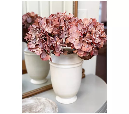 Simply Stunning Set of 3 Dried Hydrangea Picks by Janine Graff | QVC