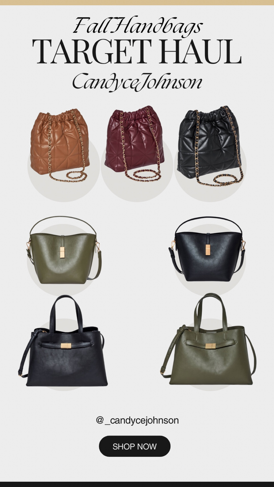 Fall HandBags Target Haul

#LTKStyleTip #LTKFallSale #LTKBeauty