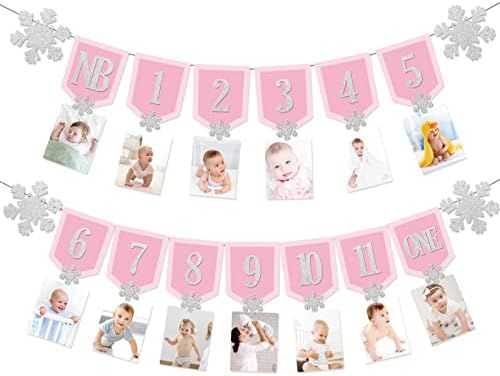 Glittery 1st Birthday Photo Banner Pink Birthday Banner Monthly Photo Banner First Birthday 12 Mo... | Amazon (US)