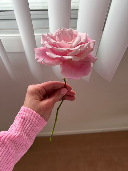 Mother’s Day gift ideas 
Gift ideas for mom
Rose bushes 

#LTKGiftGuide #LTKSeasonal #LTKhome