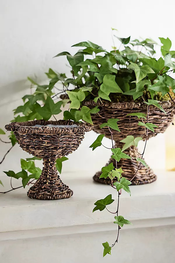 Woven Scallop Urn | Anthropologie (US)