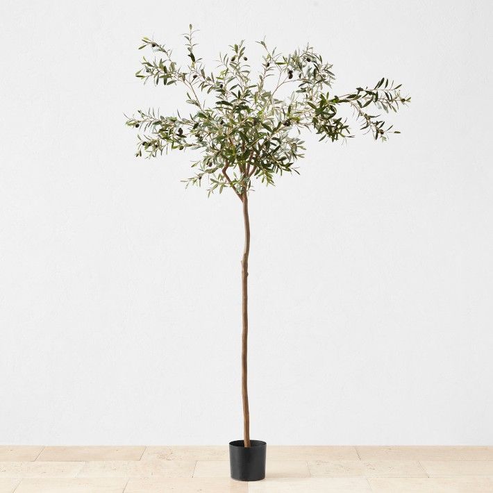 7.9' Faux Olive Tree in Plastic Pot, 1,500 Leaves | Williams-Sonoma