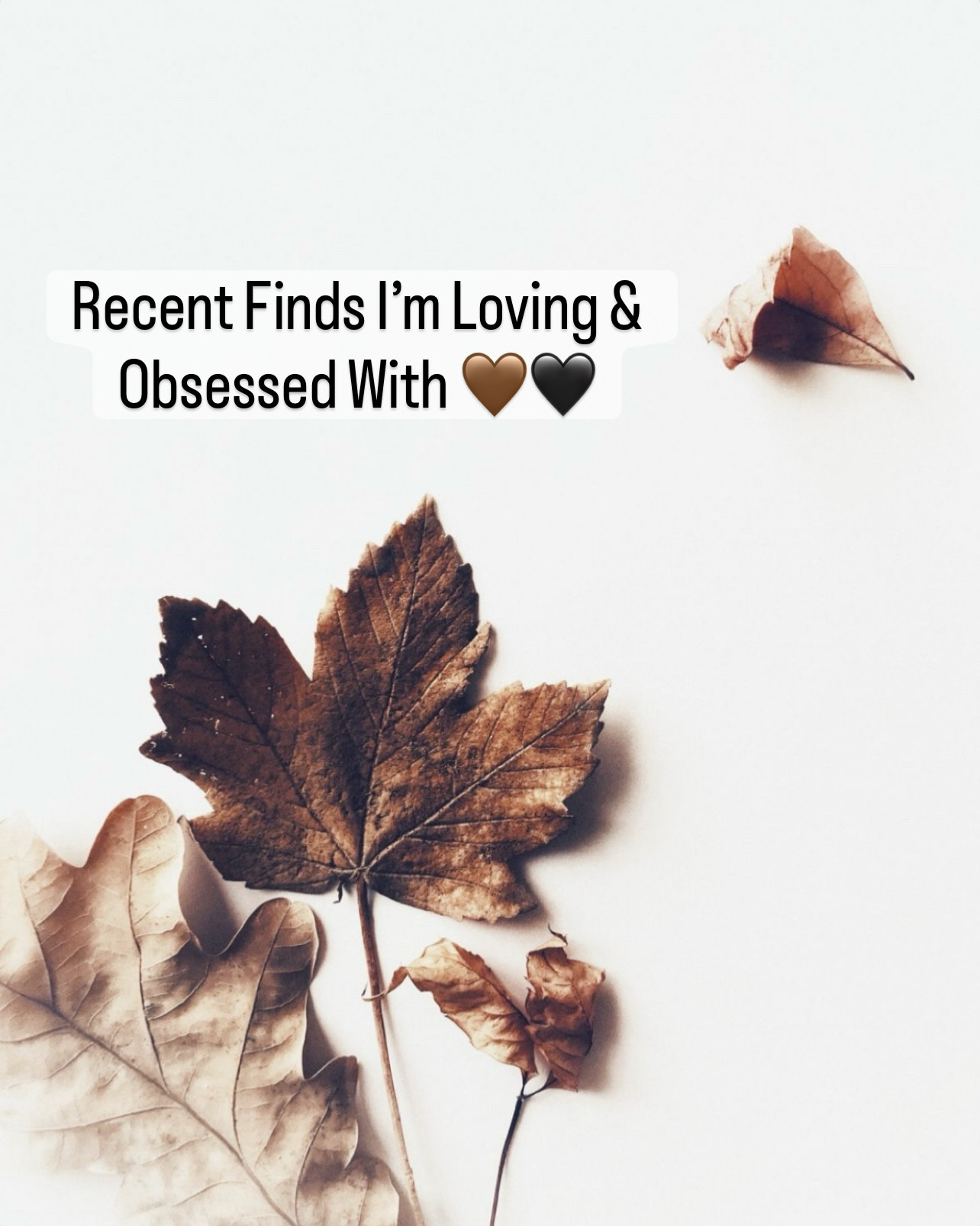 Current obsessions on repeat ✨
From suede boots with a little edge ➝ to luxe-looking bags, stacked rings, and all the fall accessories I didn’t know I needed. Mixing metals, textures, and just the right amount of sass 🖤🤎🍂

Which one’s your fave? 

#midsizefashion #fallstyle #affordableluxe

#LTKStyleTip #LTKFindsUnder50 #LTKMidsize