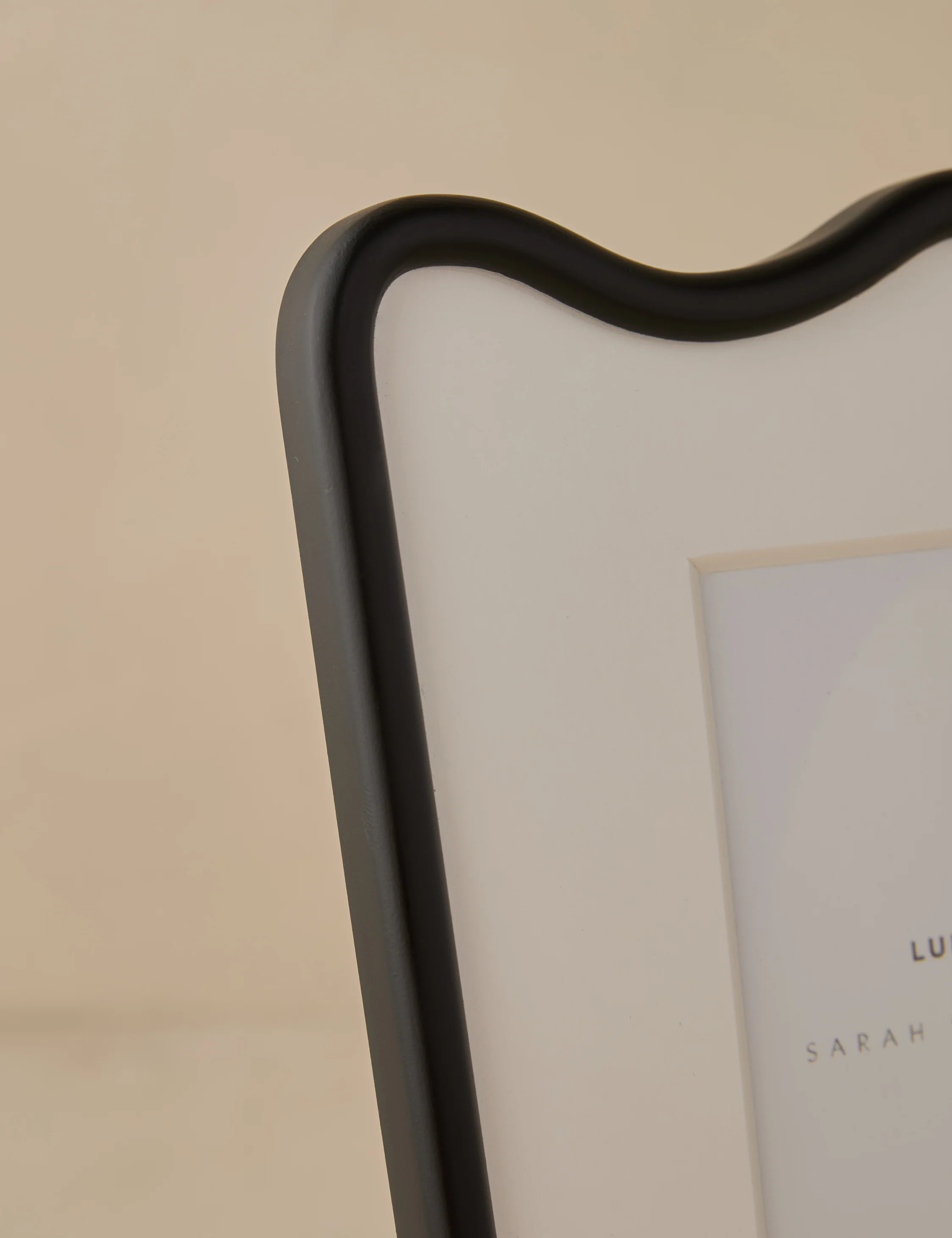 Rook Picture Frame by Sarah Sherman Samuel | Lulu and Georgia 
