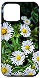 iPhone 12 Pro Max Daisy Flowers Case | Amazon (US)