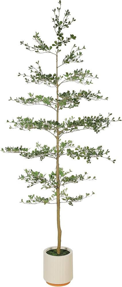 FEELEAD Faux Black Olive Tree 8ft - Large Realistic Artificial Shady Lady Tree 8 Feet with Pot Ta... | Amazon (US)