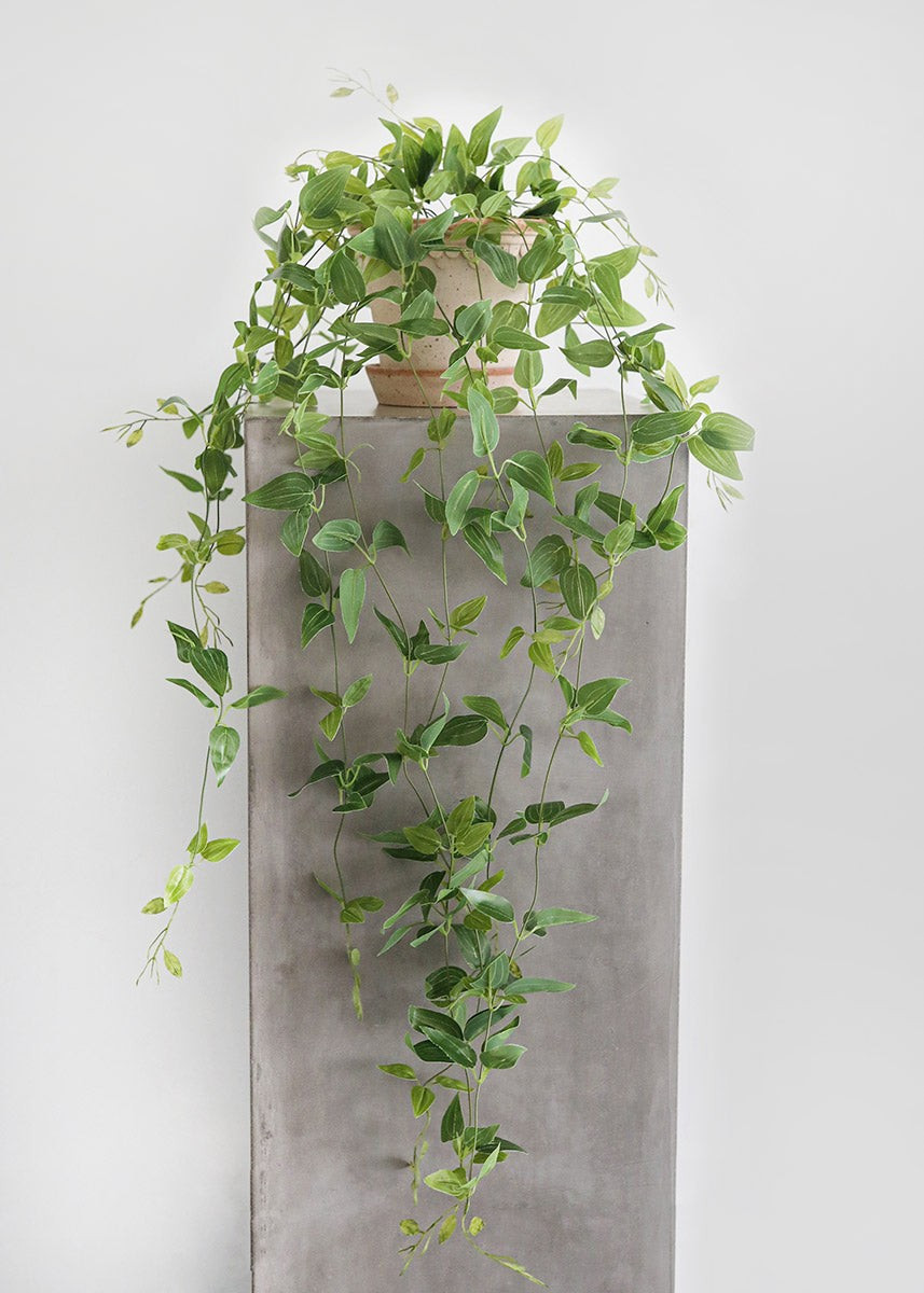 Artificial Plants Hanging Tradescantia Houseplant - 41 | Afloral (US)