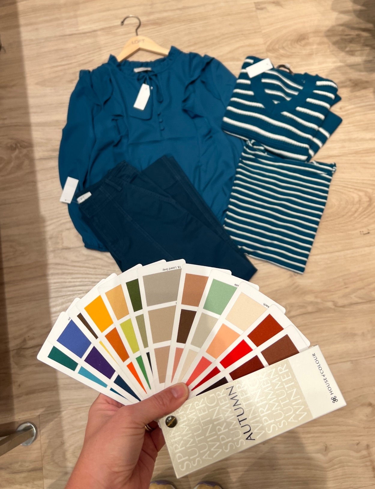 Autumn Kingfisher can be hard to find, but we found it! 