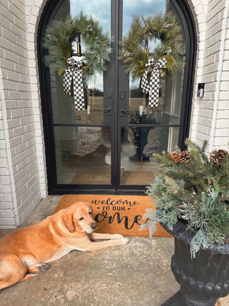Outdoor decor coming along slowly. Bronx supervises. Mackenzie-Childs 4” ribbon. I ordered my doors online from Pinky’s Doors. 

The Spoiled Home outdoor seasonal decor

#LTKhome #LTKSeasonal #LTKHoliday