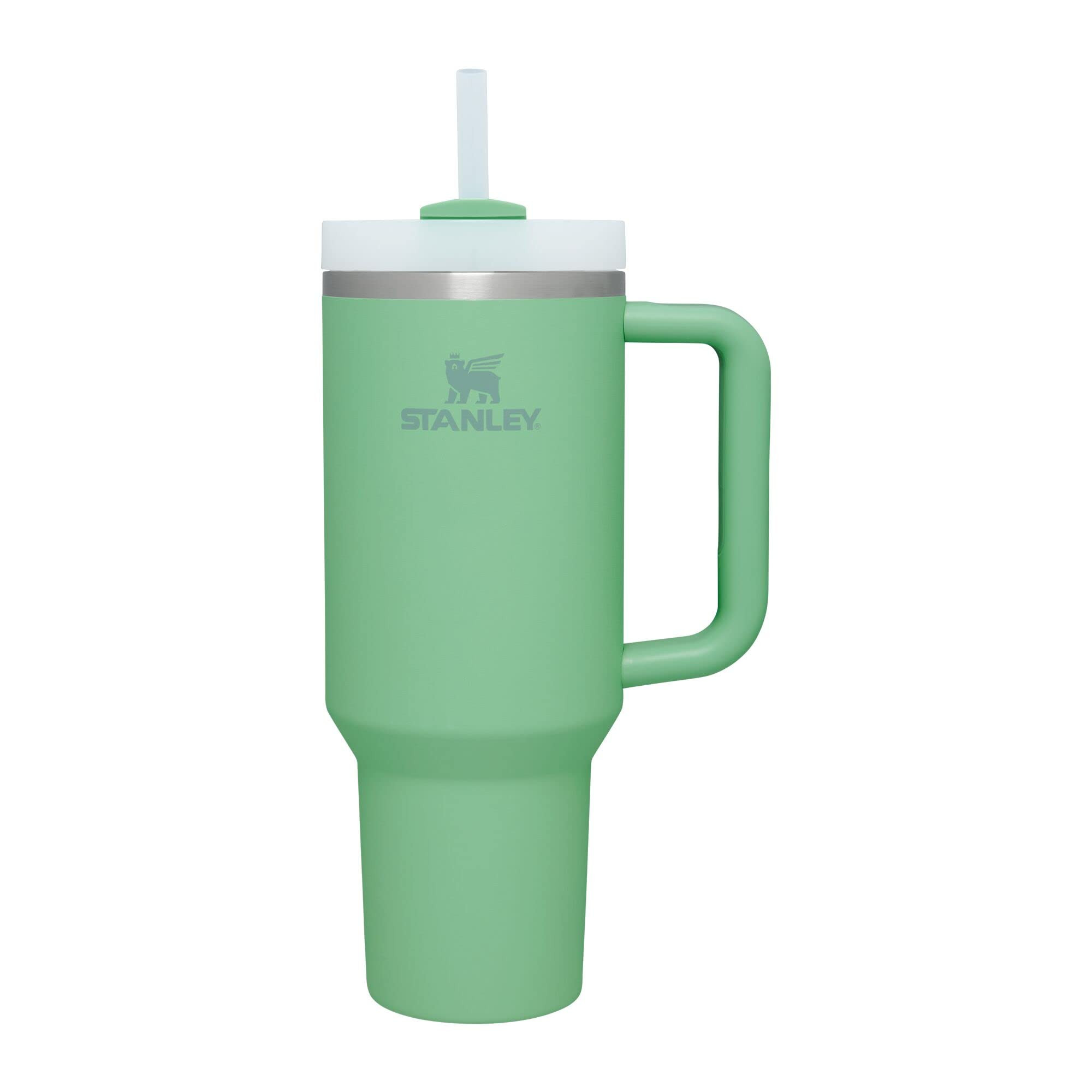 Stanley Quencher H2.0 FlowState Stainless Steel Vacuum Insulated Tumbler with Lid and Straw for W... | Amazon (US)