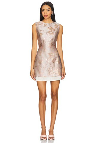 Anna Quan Mabel Dress in Rosewater from Revolve.com | Revolve Clothing (Global)