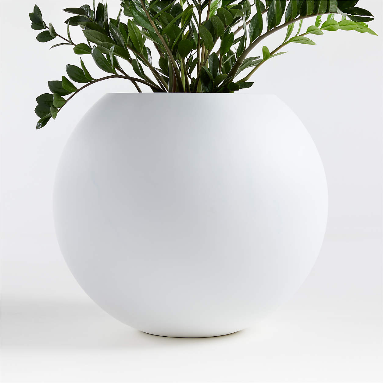 Sphere Small White Indoor/Outdoor Planter Pot + Reviews | Crate & Barrel | Crate & Barrel