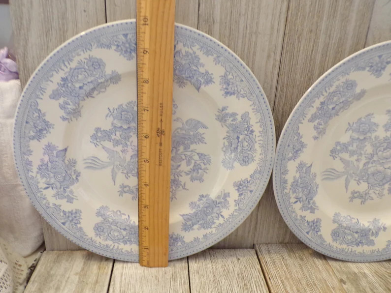 BURLEIGH China 2 Dinner Plates, Asiatic Pheasants Blue, Bird Floral China, Blue White China, Tabl... | Etsy (US)