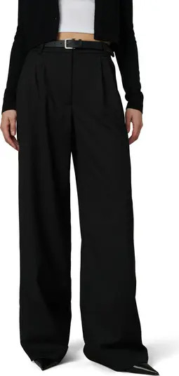 The Dani Pleated Wide Leg Pants | Nordstrom