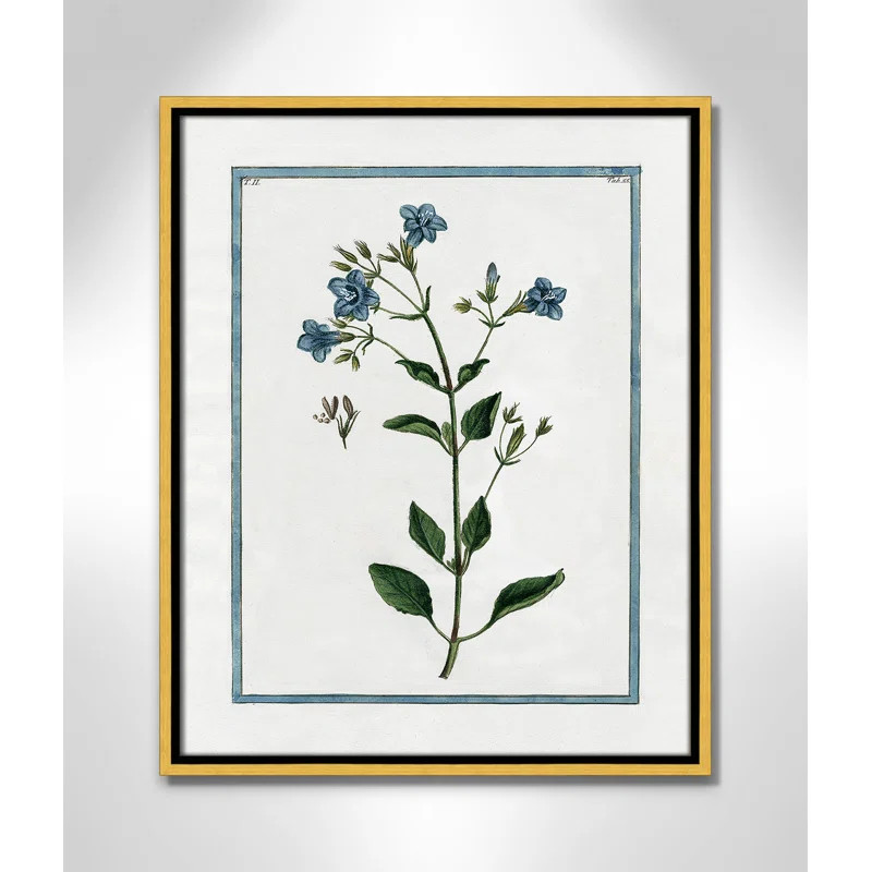 " Shabby Elegance Botanical II " by Kelly Donovan on Canvas | Wayfair North America