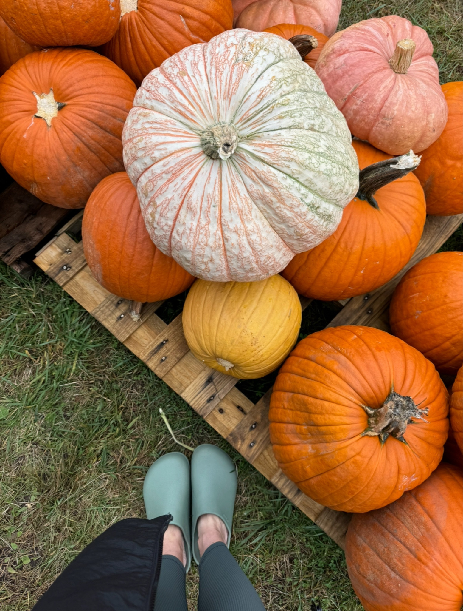 Falling for these clogs 😅 

#LTKActive #LTKShoeCrush #LTKOver40