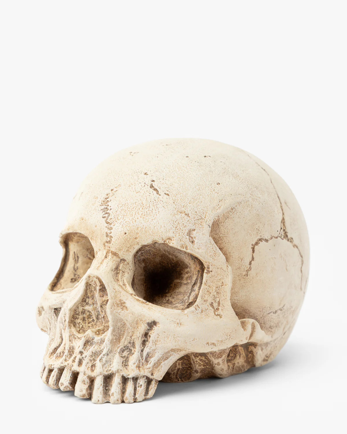 Resin Skull Object | McGee & Co. (US)