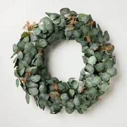 26" Eucalyptus Artificial Wreath Green - Hearth & Hand™ with Magnolia | Target