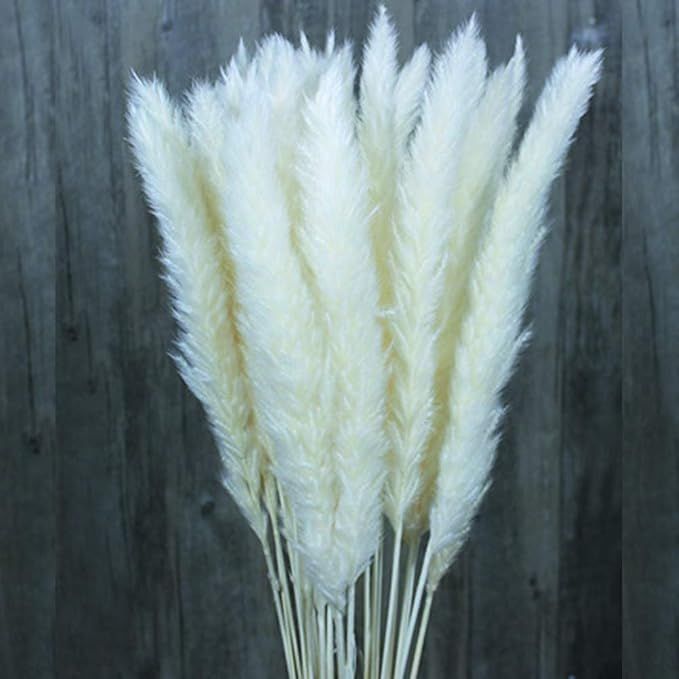 Color Life 55 Pcs Dried Pampas Grass,Phragmites Communis,Wedding Flower Bunch, for Home Decor (Wh... | Amazon (US)