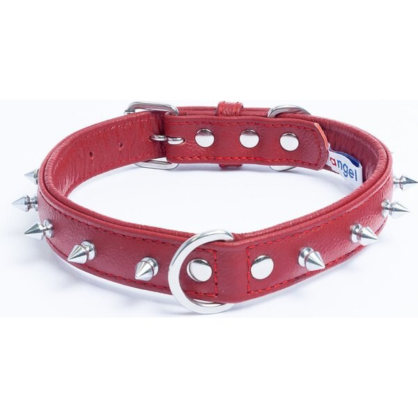 Sassy Woof Rope Dog Leash | Chewy.com
