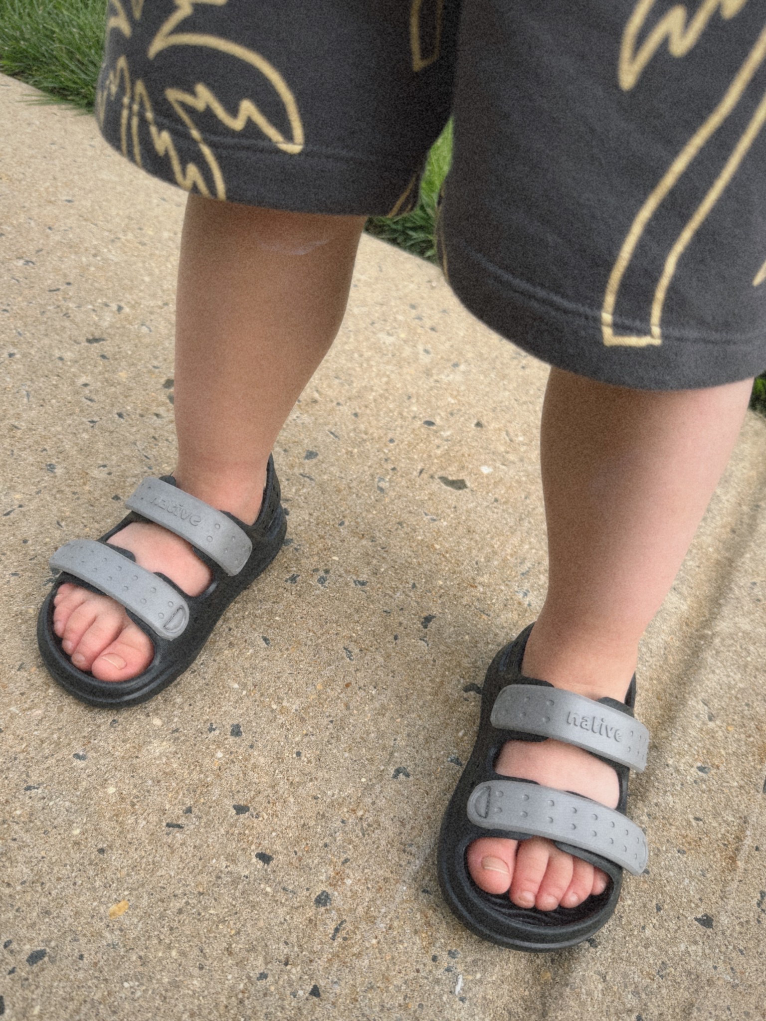 Favorite toddler sandals for summertime! Perfect for water play as well :) 

#LTKSummerEdit #LTKKids #LTKSeasonal
