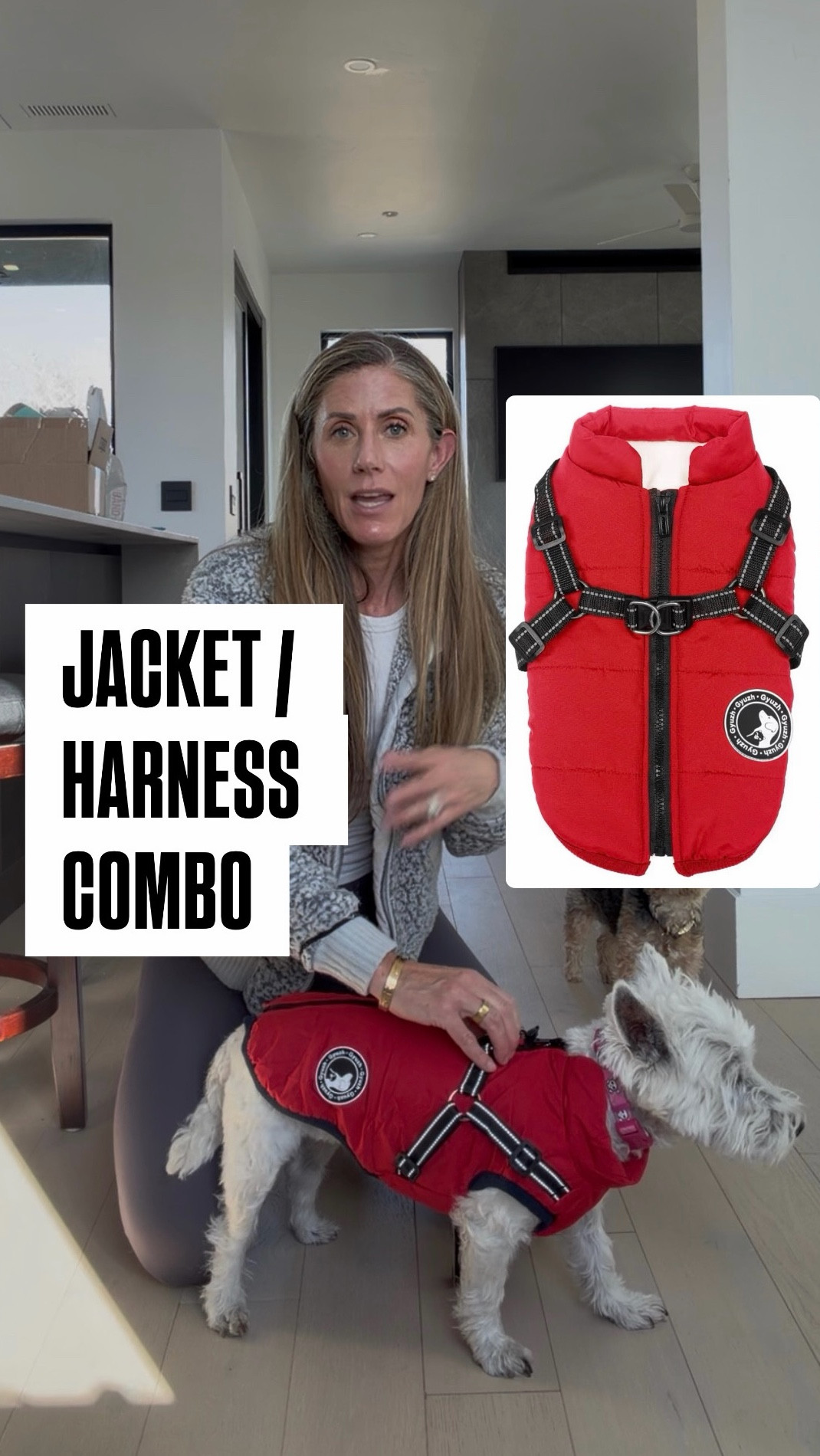 Winter is about to hit full force here in Idaho, which means the usual circus is coming. Jacket first, then the harness. Or harness first, then the jacket. Either way it adds time, frustration, and a dog staring at me like I’m the problem.

This little jacket solved it. The harness is built in, they step in, zip up, clip, and we are out the door without the drama. Bless whoever invented this.

How much would this combo help you? Tell me what your winter dog situation looks like.

#LTKActive #LTKPets #LTKSeasonal