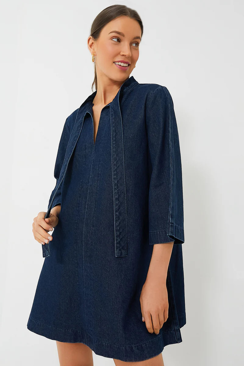 Denim Marsella Dress | Tuckernuck (US)