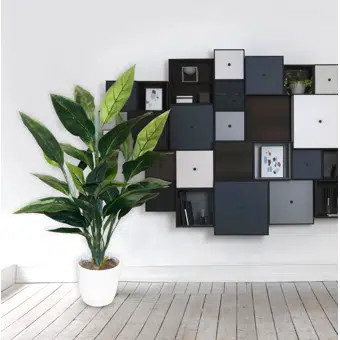 Foliage Tree in Basket | Wayfair North America